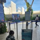 도도버드 | 세부 SM 시사이드 앞 아쿠아리움 '오션파크' 정복! 20개월 아기랑 관람 팁 (운영시간/가격/위치)