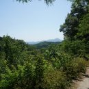 매봉산341정산313현산297육녀봉263용산136깃대봉165냉정산(영장산1920남산124/경북예천 이미지