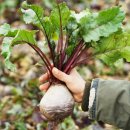 무지개영농조합법인 이미지