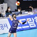 이예은 카카오 검색결과