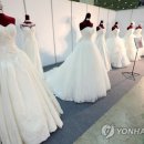 베트남국제결혼스토리 이미지