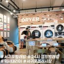 워시테리아올레 이미지