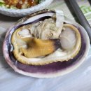 풍년2길 | 전주 한옥마을, 현대옥 본점, 왱이집, 풍년베이커리(PNB), 순천만습지, 여수 잠수기3호집 후기~