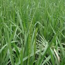 개포이레공인중개사사무소 이미지