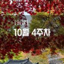 용소막마트 | [일상] 10월 4주차 (feat. 단풍놀이)