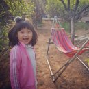 대대 찹쌀아구찜 이미지