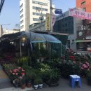 종로41길 네이버블로그