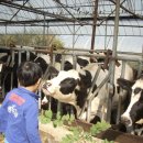 강민축산 이미지