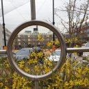 소중한유여성외과의원 이미지