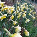 바위섬소도 이미지