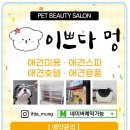 이쁘다 멍 이미지