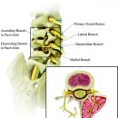 피지오플레이스 피플운동센터 이미지
