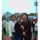 정화성