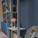 인제농협 본점 이미지