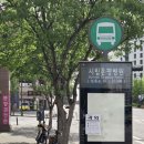 서울은내과동물병원 | 응암동샌드위치 샐러드 맛있는 은평병원 옆 카페그리니