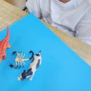 군산중앙초등학교 이미지