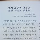 가오실