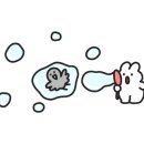 춘천보룡약국 이미지