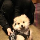 그루밍가든 이미지