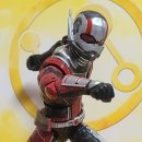 Antman and wasp : Quantumania | 마블레전드 앤트맨과 와스프 - 앤트맨(스캇 에드워드 해리스 랭) MARVEL LEGENDS ANT-MAN AND THE WASP