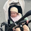 미즈멍 이미지