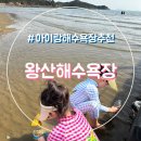 세븐일레븐 영종왕산비치점 | 인천 영종도 왕산해수욕장 엄마혼자 아이둘 모래놀이 주차 준비물