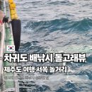 돌고래 | 제주도 여행 서쪽 놀거리 차귀도 배낚시 돌고래뷰 이용 후기