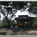 장성농장 이미지