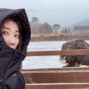 육일목장 이미지