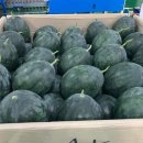 정읍단풍미인조합공동사업법인 이미지