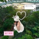 올리브원 | 부천 가볼만한곳 호수 수피아 식물원 카페 야간개장 주차 예약 ❤️