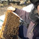 김명주 농장 이미지