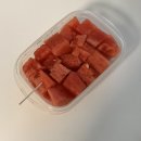 민박잇씨유 | [강릉] 고양이와 바다 _1