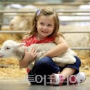 호주 농장 이미지