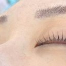 브로우코드 속눈썹&눈썹 이미지