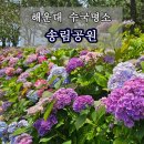 송림공원 주차장 | 부산 해운대 송림공원 수국 주차장 안내 수국길 위치