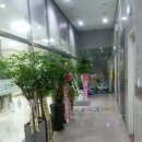 일산리더스요양병원 이미지