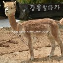 신남농장 이미지
