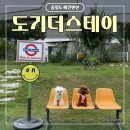 홍성 <b>도기</b>더스테이 | 충청도 대전근교 넓은 운동장 애견펜션 (더블랙)