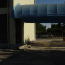 동보초등학교 이미지