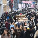 상업용 12 이미지