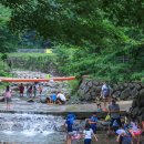 금오산 야영장 이미지