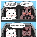 횬
