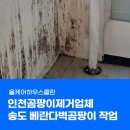 경인로759번길 | 인천곰팡이제거업체, 송도 베란다벽곰팡이 닦아도 계속 재발하는 진짜 이유