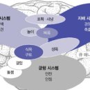 뇌과학으로 비즈니스의 비밀을 풀다 이미지