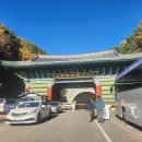 동화사 | “단풍이 절정, 대구 동화사(桐華寺) 가을 풍경 . 문화재 깊이보기