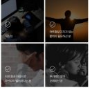 120 | 손쉬운 건강 챙김, 나우그린 블랙마카 맥스 120정 후기