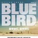 블루버드커피