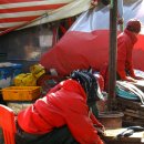 자갈치시장 이미지