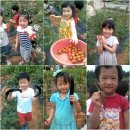 에벤에셀농장 이미지